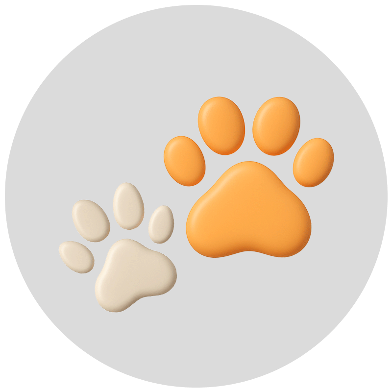 Pet Series