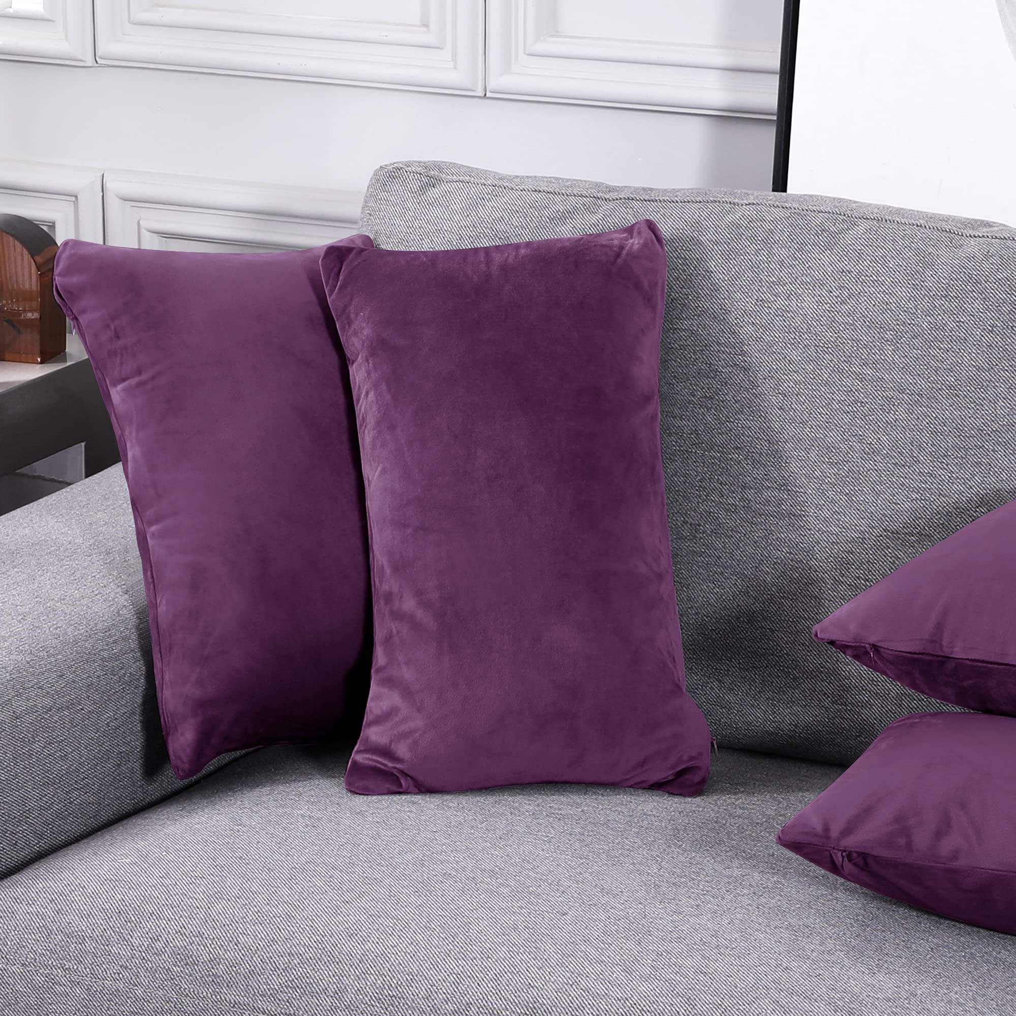 Eggplant Purple